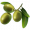 Olives